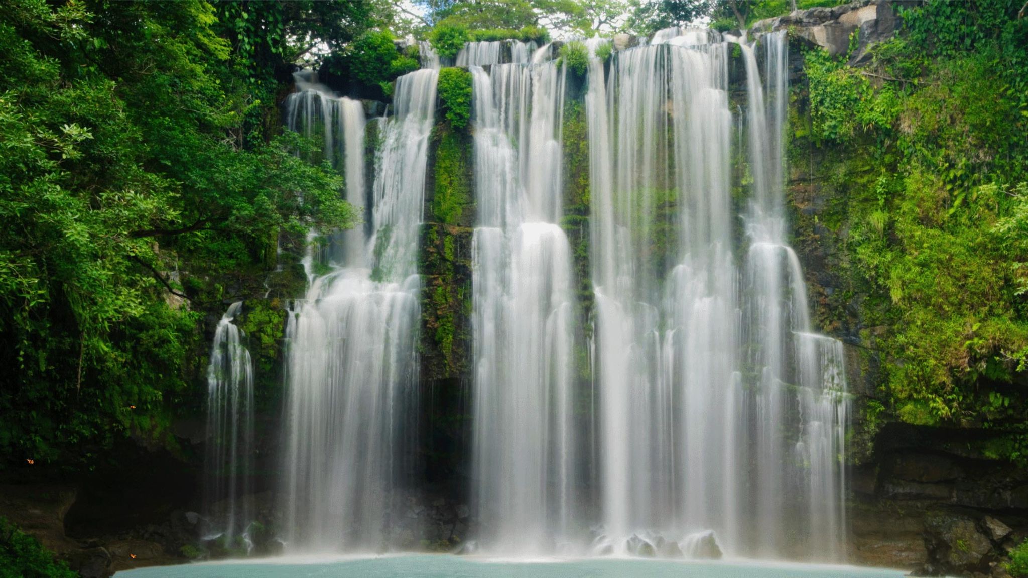 Tourismus: Warum Costa Rica ein wahres Urlaubsparadies ist