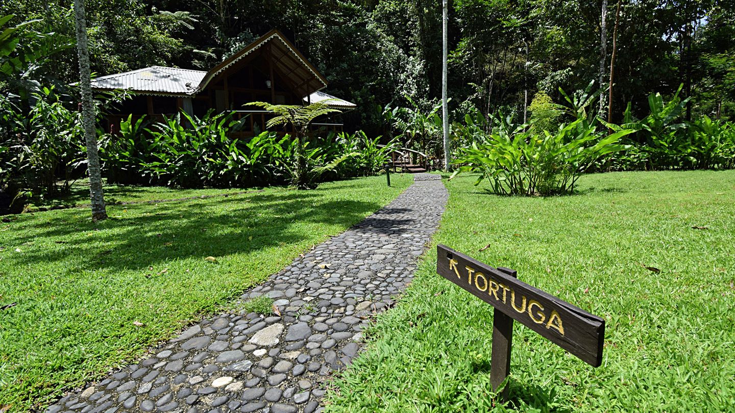 Pacuare Lodge  Stilvoller Luxus in der Wildnis: Am Ufer des wilden Pacuare-Flusses gelegene Edel-Unterkunft, die aus 20 Villen besteht. Anreise per Rafting oder im Förderkorb am Stahlseil über den reißenden Fluss schwebend. Ausgezeichnete Küche und neben Ausflügen in den Regenwald besteht die Möglichkeit zum Speisen auf der 20 Meter hohen Plattform "the nest" in den Bäumen.  Infos: www.pacuarelodge.com