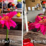 Bei Tageslicht sind die Unterschiede weniger auffällig. Beide Kameras machen ein hervorragendes Foto mit vielen Details und einer ansehnlichen Hintergrundunschärfe (Bokeh). Die Kontraste des Huaweis-Fotos wurden von der KI allerdings ordentlich hochgedreht.