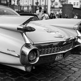 ... die auch in Schwarz-Weiß gut zur Geltung kommen.