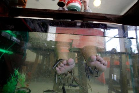 Thailand: Fish Spa