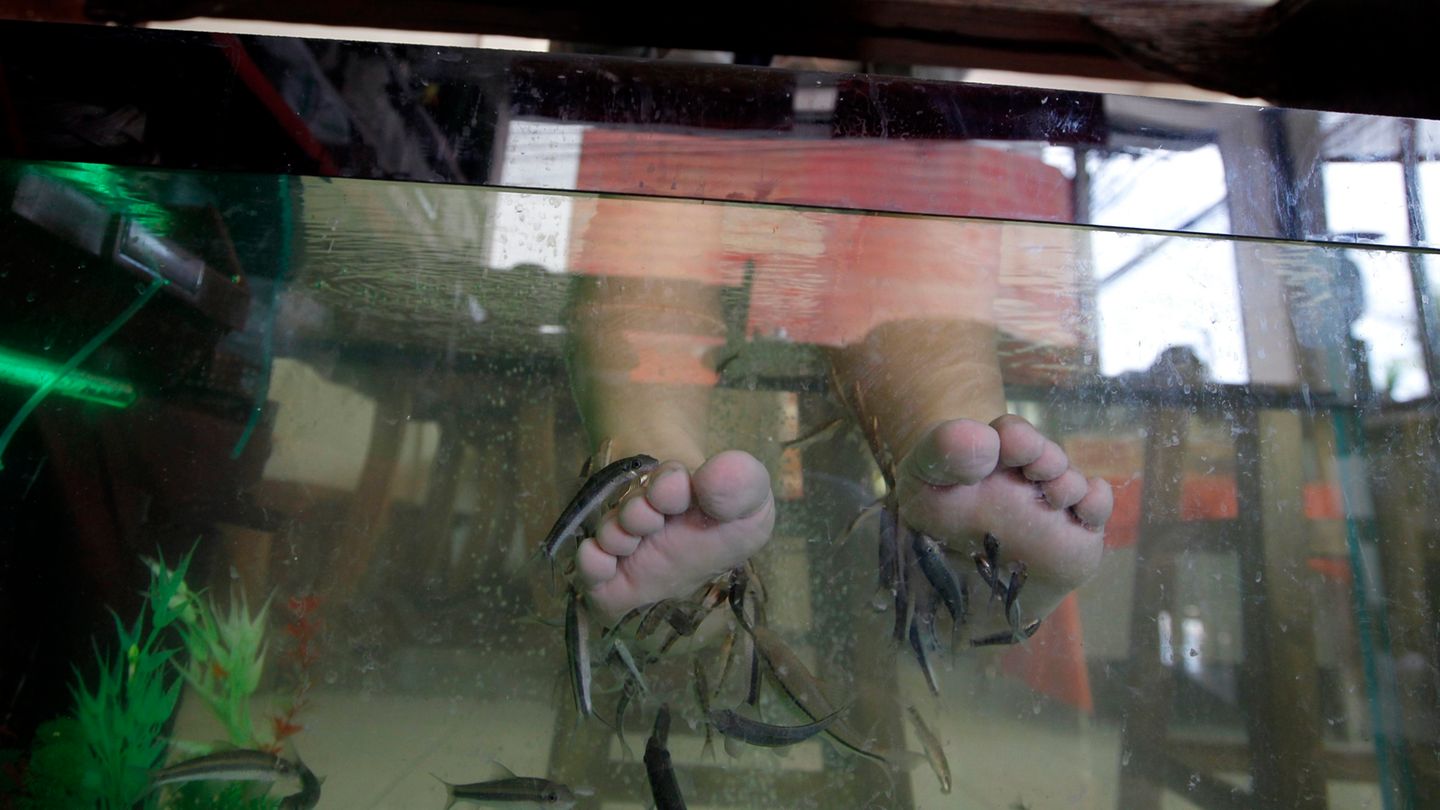 Thailand: Fish Spa
