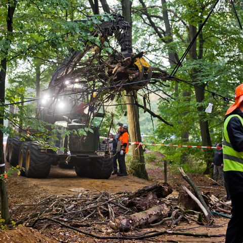 Schweres Räumgerät im Hambacher Forst