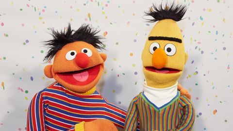 Ernie und Bert sind bei den Zuschauern der "Sesamstraße" sehr beliebt