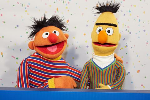 Ernie und Bert sind bei den Zuschauern der "Sesamstraße" sehr beliebt