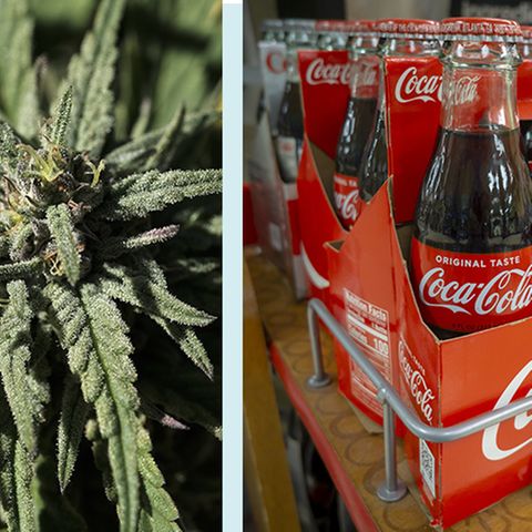 Coca-Cola wird bald Dope: Getränke-Hersteller plant Cannabis-Drinks