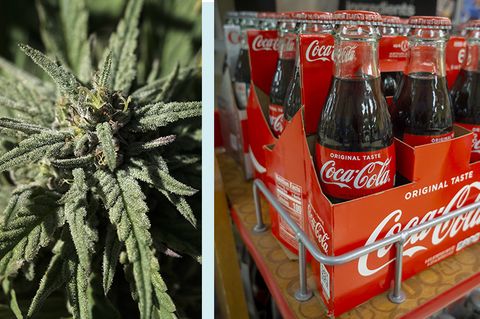 Coca-Cola wird bald Dope: Getränke-Hersteller plant Cannabis-Drinks