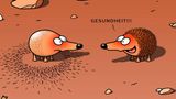 Zum Buch