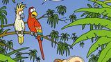 Zum Buch
