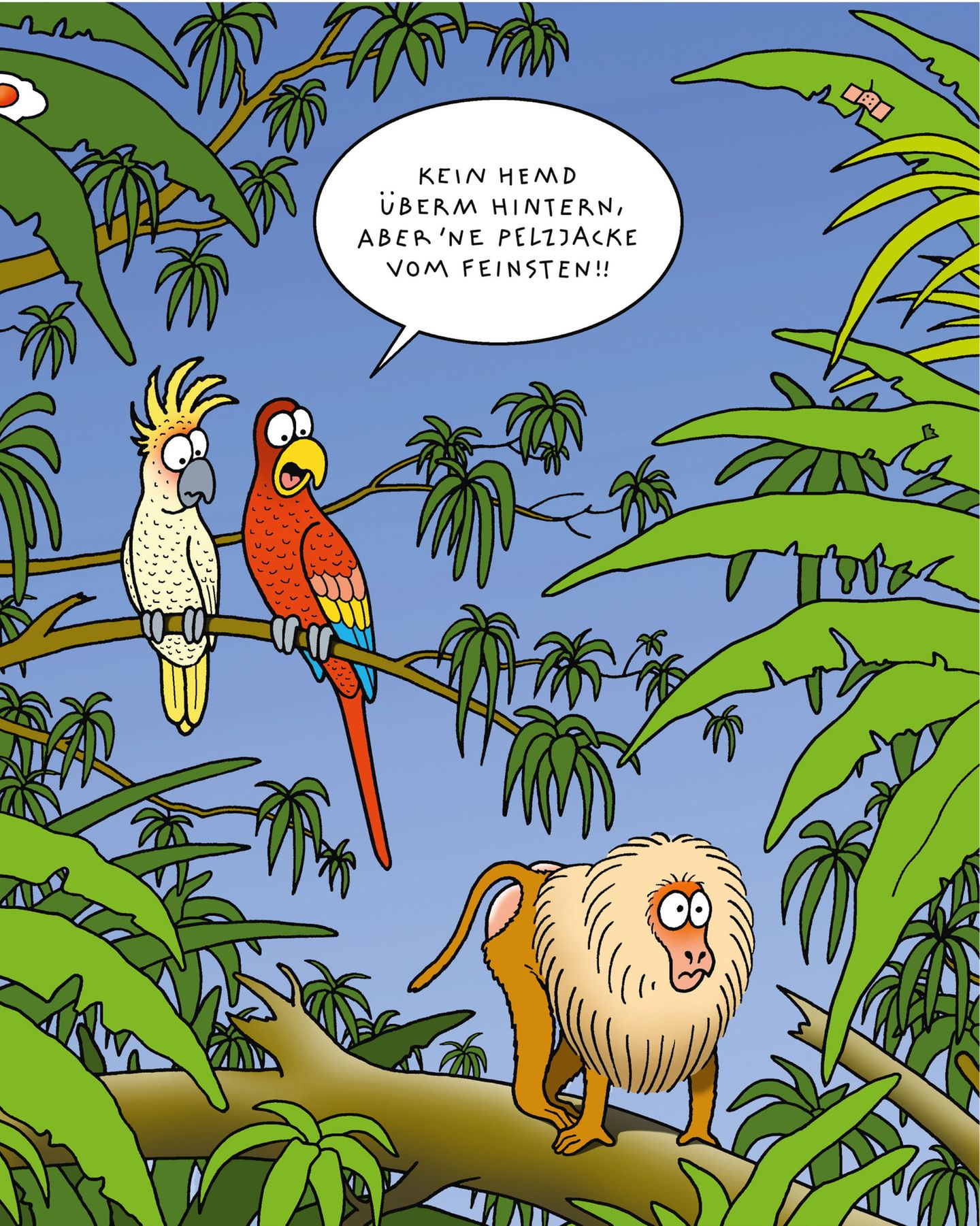 Zum Buch