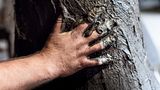 Hier wird Handwerk zur sinnlichen Tat. Was auf den ersten Blick grob wirkt, dient höchster Präzision. Denn von der Genauigkeit der Form und von ihrer Standfestigkeit beim Guss hängt ab, wie harmonisch die Glocke einmal klingt.