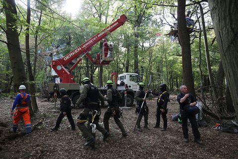 Eine Hebebühne des Verleihers Gerken im Hambacher Forst