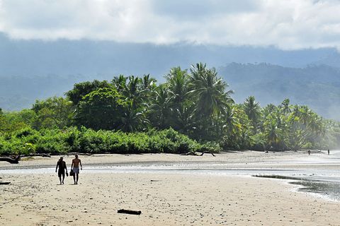 An der Pazifikküste: Die Gischt der Brandung weht in den Palmenhain