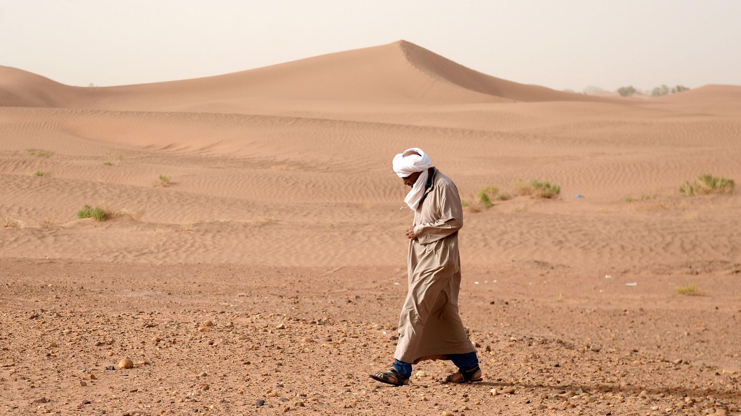 Donald Trump rät Spanien, in der Sahara eine Mauer zur Abwehr der Migranten zu bauen