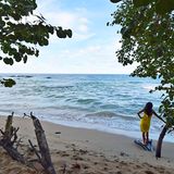 Küsten   Das kleine mittelamerikanische Land mit 51.100 Quadratkilometern hat zwei Küsten ganz unterschiedlicher Längen: 210 Kilometer Karibikküste im Osten und 1100 Kilometer im Westen auf der Pazifik-Seite. Detaillierte Infos zu den Stränden unter: https://GOPlaya.cr