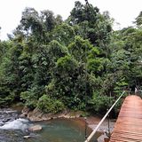Reisezeit   Nach Costa Rica kann man das ganze Jahr über fahren. Es herrschen tropische und subtropische Temperaturen, und es gibt viele Mikroklimazonen. Als Hauptreisezeit gelten die Monate von Dezember bis April. In der "green season“ von Mai bis November ist das Preisniveau deutlich günstiger. Außerdem eignen sich die Monate Juli bis Oktober sehr gut zum Beobachten der Zugvögel, der Eiablage von Schildkröten und von Walen an der Westküste.