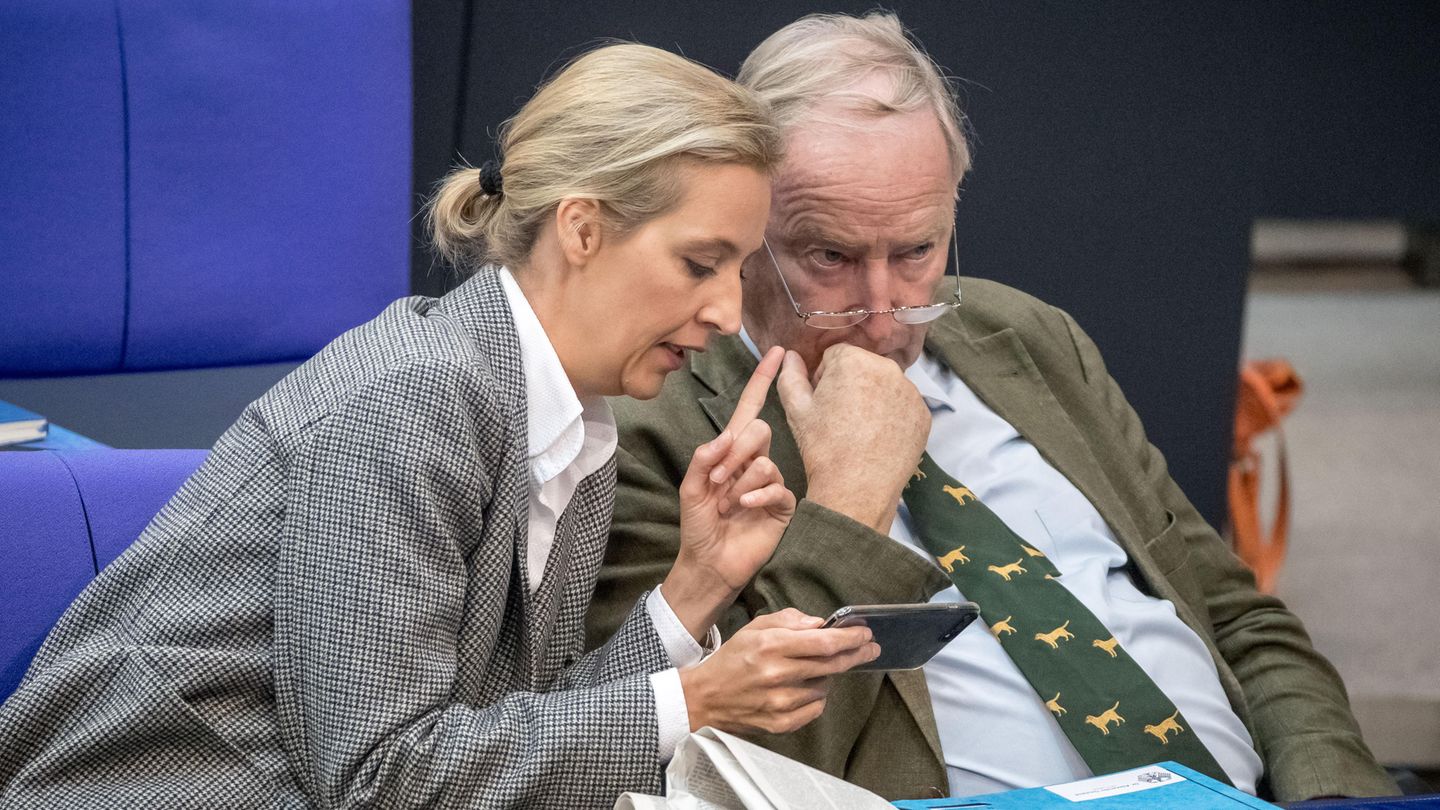 Die AfD-Vorsitzenden Alice Weidel und Alexander Gauland