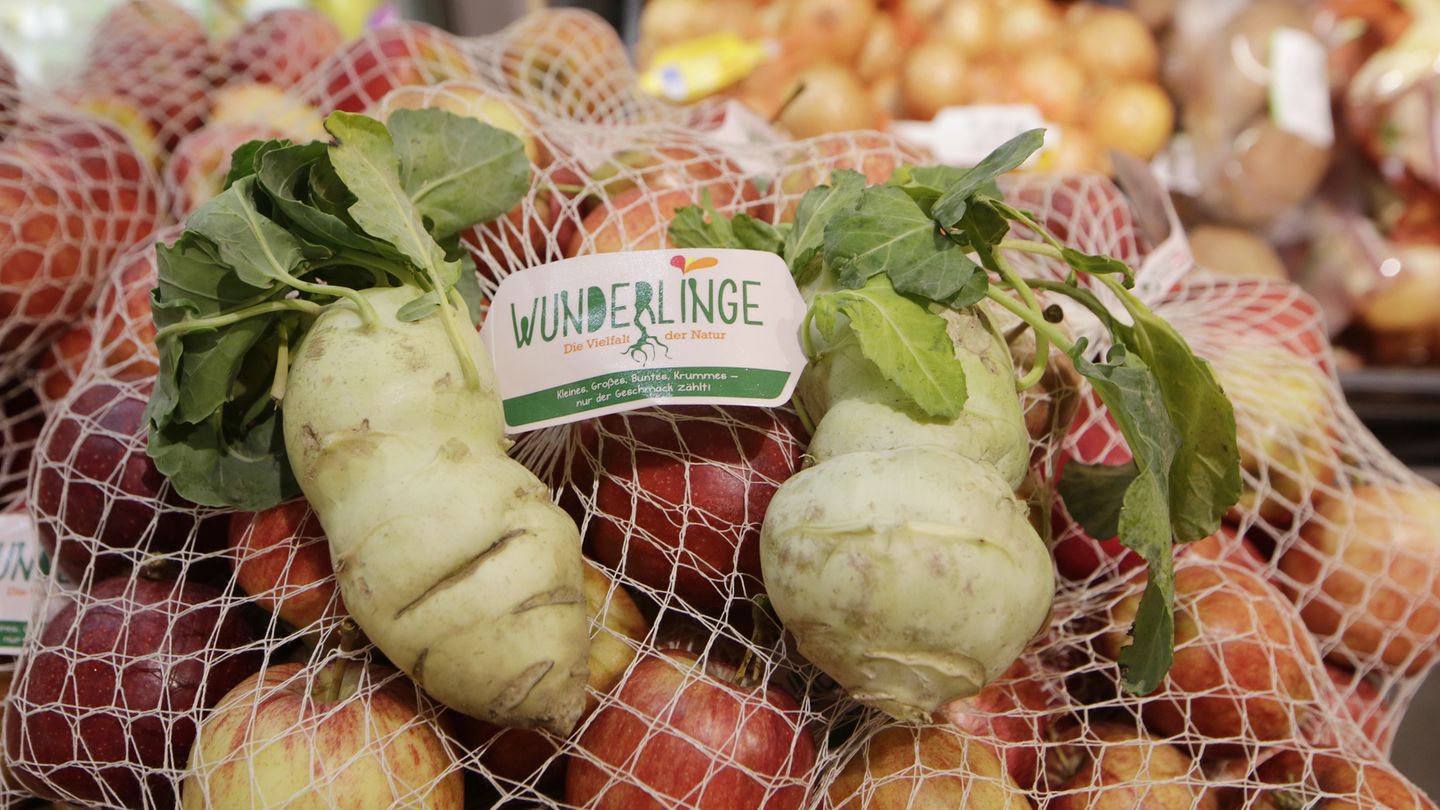 Rewe Penny "Wunderlinge"