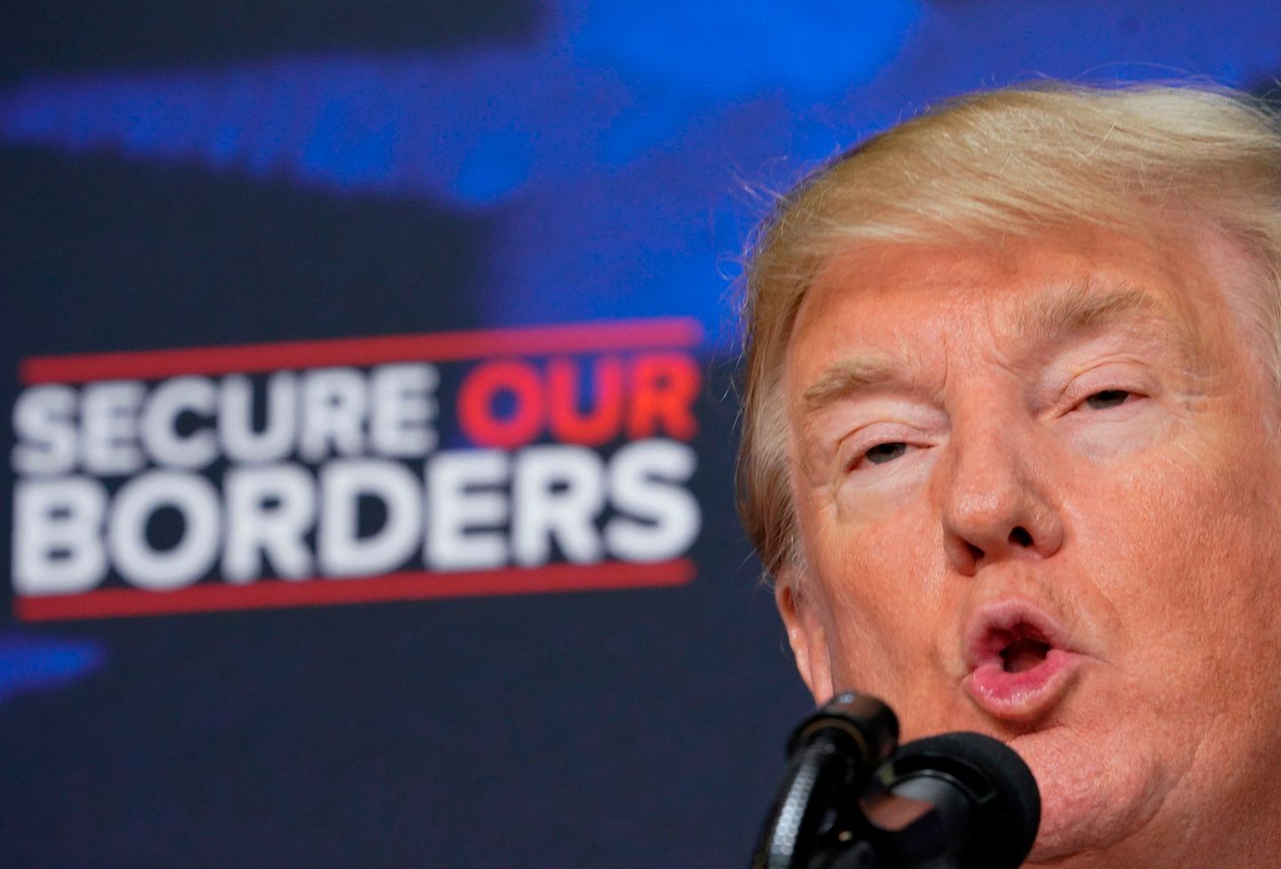 US-Präsident Donald Trump bei einer Rede zum Thema Immigration vergangenen Juni in Washington