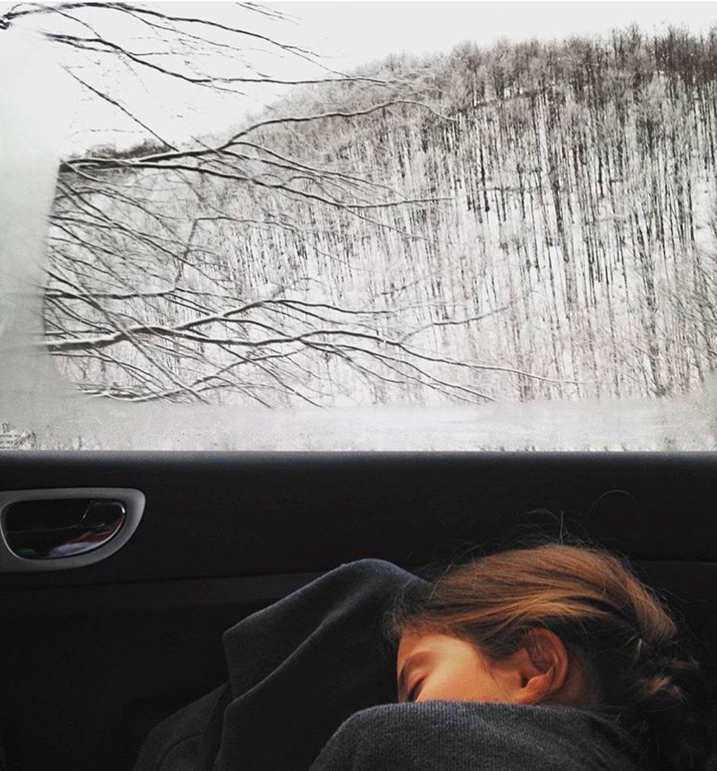 Dieses Bild der 14-jährigen Kaja Tasevska aus Skopje gewann in der Kategorie Kinder-  und Jugendfotografie. Es zeige Frieden als einen Zustand von Geborgenheit und Ruhe, sagt die Jury.