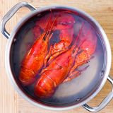 Zwei gegarte Hummer im Kochtopf