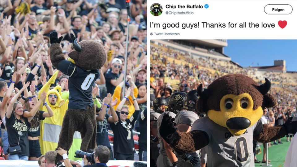 Football : Maskottchen hält T-Shirt-Kanone verkehrt herum – und schießt sich in den Schritt Football : Maskottchen hält T-Shirt-Kanone verkehrt herum – und schießt sich in den Schritt