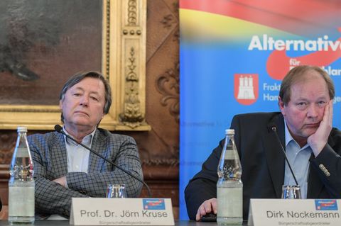 Sie sehen angeblich linke Indoktrination in Schulen: Jörn Kruse (l.), Fraktionsvorsitzender der AfD in der Hamburgischen Bürgerschaft, und Dirk Nockemann, Landesvorsitzender der AfD