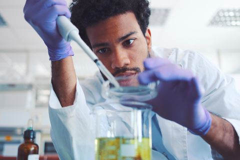 Ein junger Mann mit dunklen Locken tröpfelt in einem Labor etwas mit einer Pipette in eine Petrischale