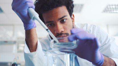Ein junger Mann mit dunklen Locken tröpfelt in einem Labor etwas mit einer Pipette in eine Petrischale