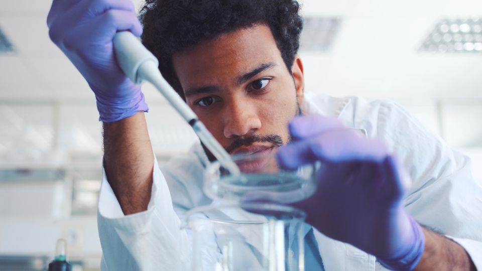 Ein junger Mann mit dunklen Locken tröpfelt in einem Labor etwas mit einer Pipette in eine Petrischale