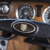 Überall findet man das Raubatzen-Emblem