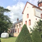 Das imposante Kloster Eberbach aus dem 12. Jahrhundert widmet sich heute dem Weinanbau