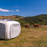 Kuh-Idylle auf dem Marterer Hof in Süddeutschland