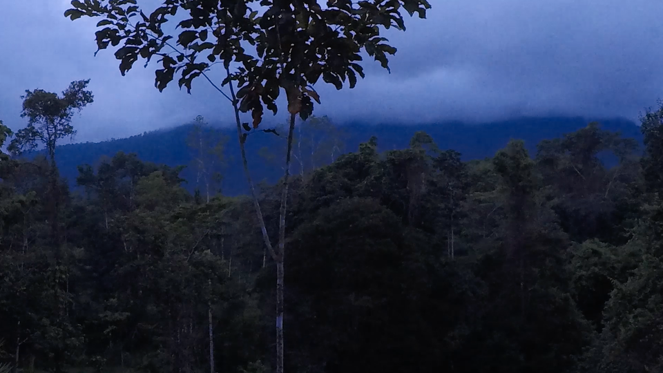 Eine Nacht in der Selva Bananito Lodge Eine Nacht in der Selva Bananito Lodge