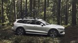Volvo V60 Cross Crountry 2019 - ein schicker Kombi fürs Grobe