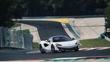 Der McLaren 600LT kostet 230.000 Euro
