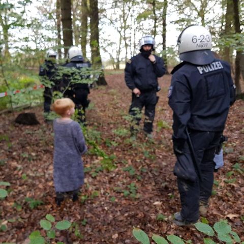 Die Situation im Hambacher Forst