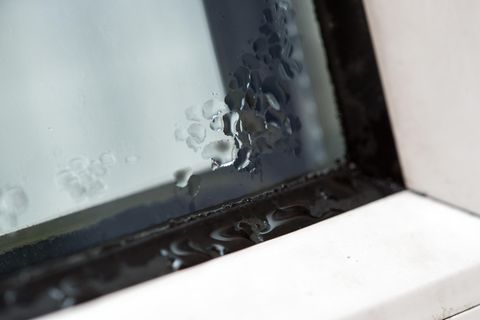 Kondenswasser am Fenster