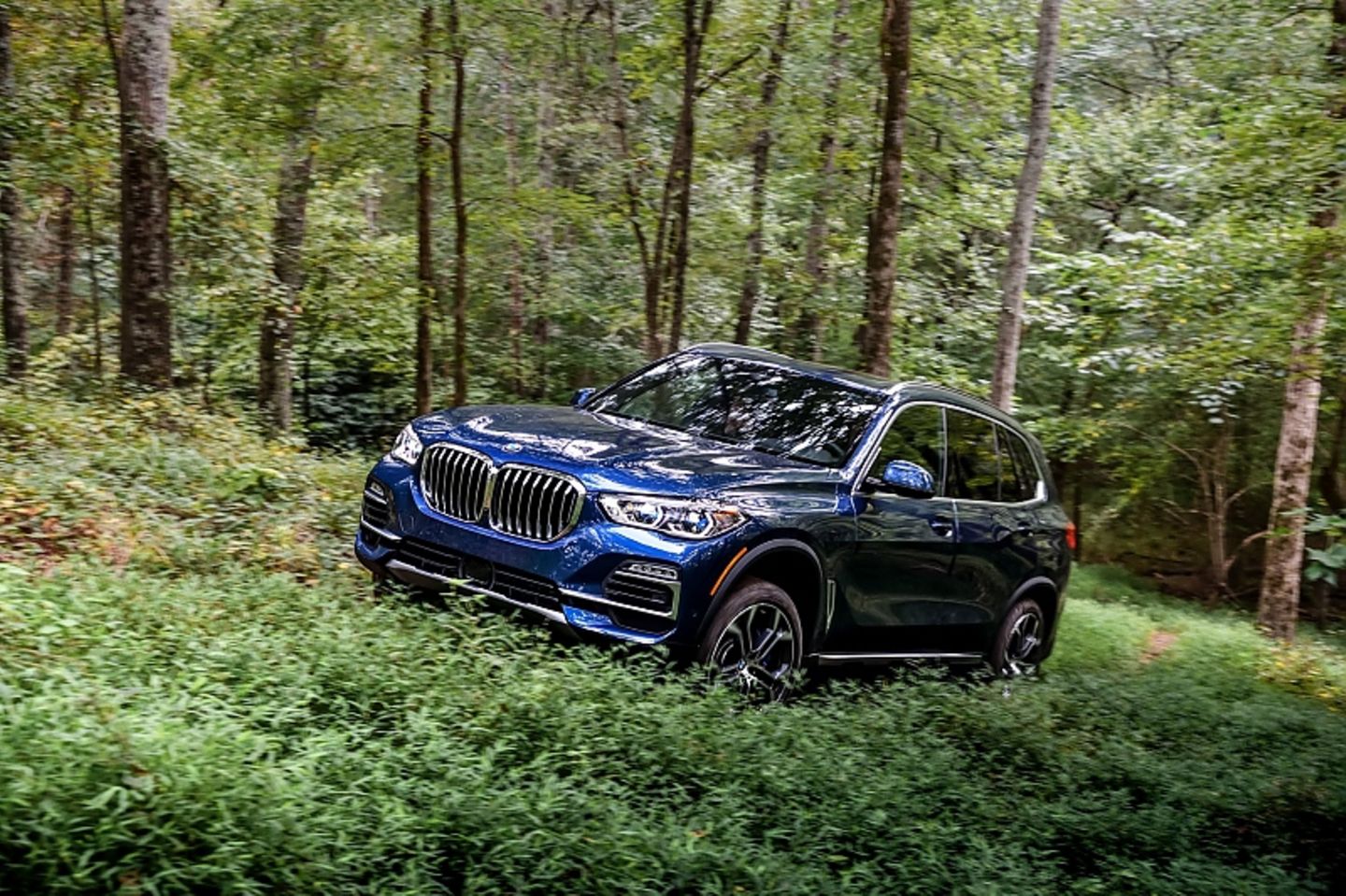 Neuer BMW X5 – gewaltiger Auftritt trifft verspielten Innenraum mit  Sternenhimmel