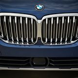 Die Niere ist größer geworden