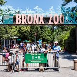Bronx Zoo