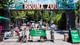 Bronx Zoo  Mit 4000 Tieren gehört der Bronx Zoo, der 1899 eröffnet wurde, zu den größten der Welt. Die Gehege sind nach Kontinenten und ihrer Tierwelt strukturiert. Außerdem gibt es ein Schmetterlingshaus. Mittwochs ist der Eintritt frei, "donations" sind jedoch erwünscht.  Infos: https://bronxzoo.com