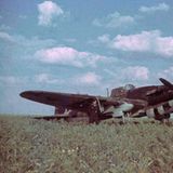 Deutscher Soldat posiert vor notgelandeter Maschine.