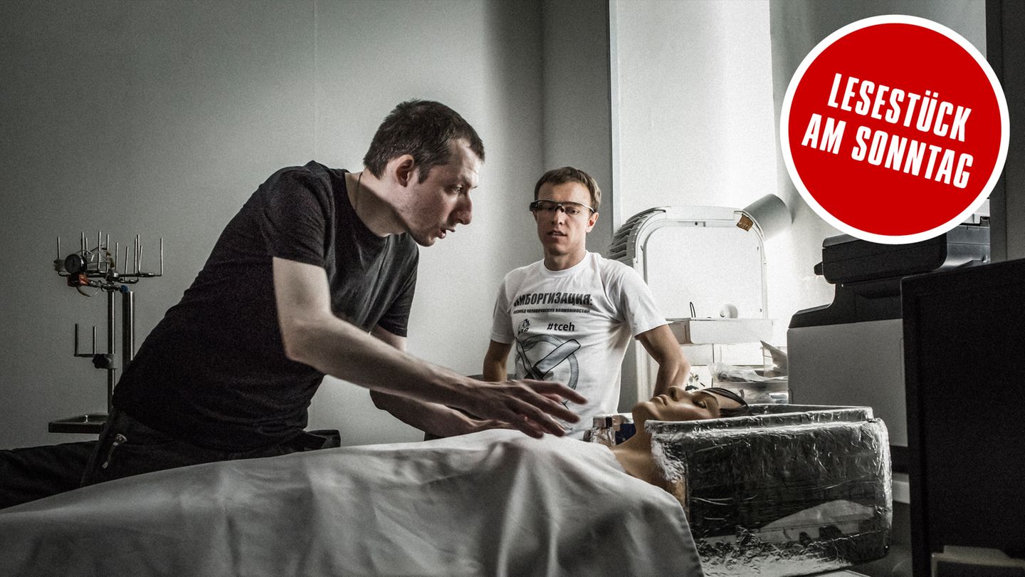 An einem Modell erklären die Transhumanisten Alexej Samykin und Igor Trapesnikow im Büro von KrioRus