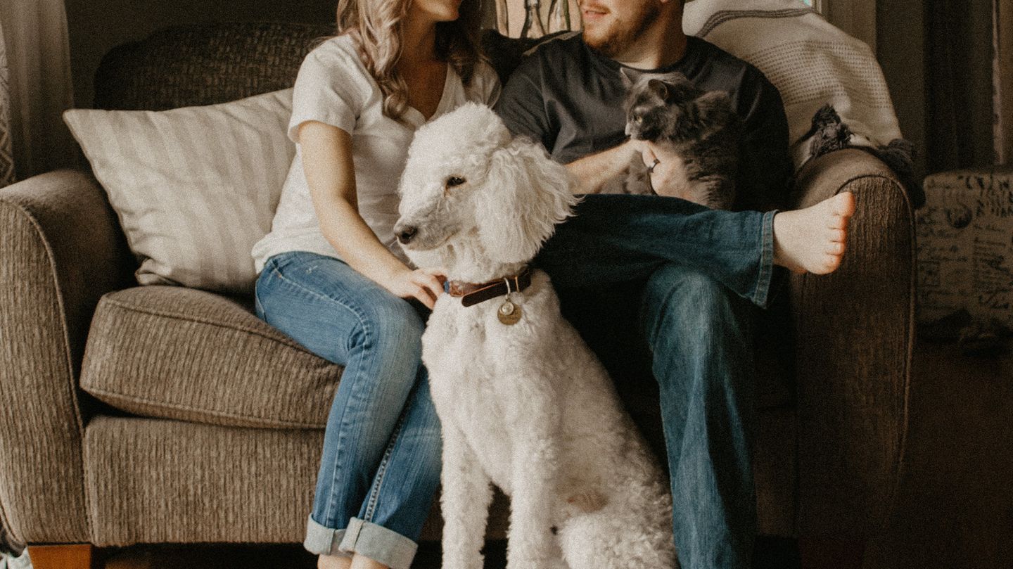 Päärchen auf der Couch mit Hund und Katze