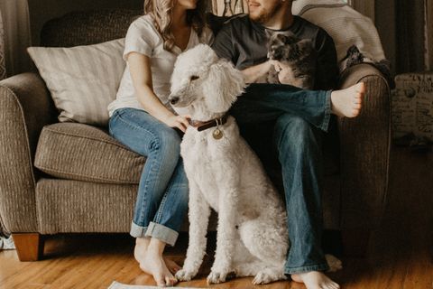 Päärchen auf der Couch mit Hund und Katze