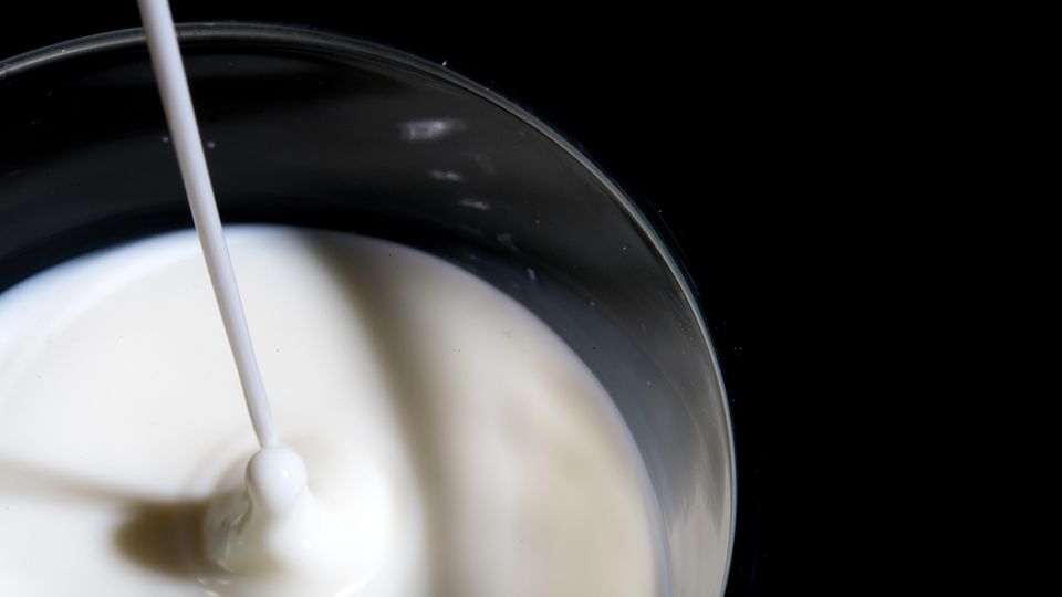"Das System Milch": "Ein absurdes System": Warum in der Milchwirtschaft ein Überfluss-Irrsinn herrscht
