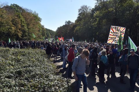 Die geplante Rodung des Hambacher Forst durch den Energiekonzern RWE trifft auf großen Protest in der Bevölkerung