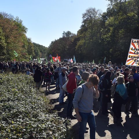 Die geplante Rodung des Hambacher Forst durch den Energiekonzern RWE trifft auf großen Protest in der Bevölkerung