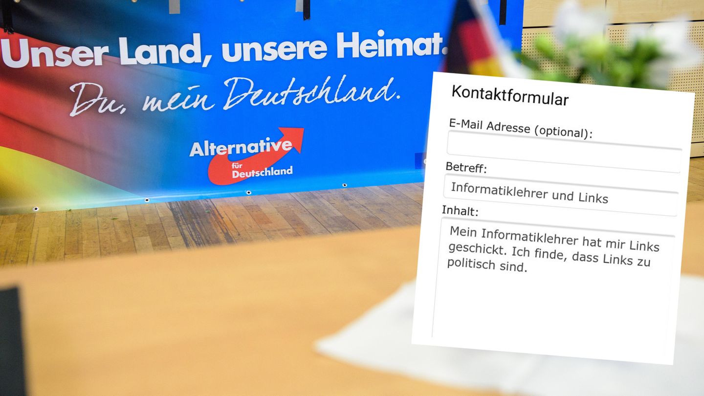 "Links sind zu politisch": Solche satirischen Einträge landen massenhaft im Melde-Portal der Hamburger AfD-Fraktion